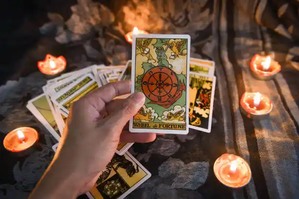 tarot cards Cricket